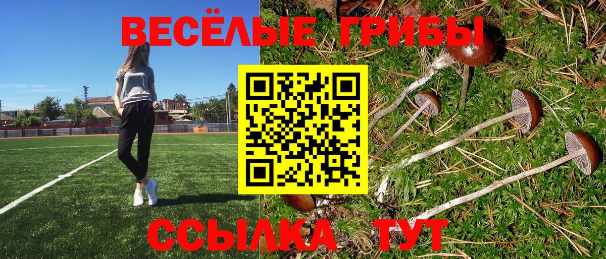 Псилоцибиновые грибы Psilocybine cubensis  Вход с VPN  Галлюциногенные грибы Psilocybe  Ноябрьск 